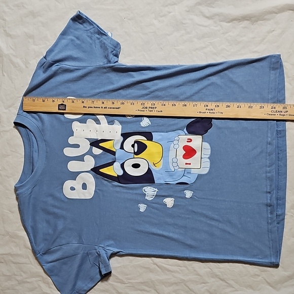 Bluey Kids Family Valentine's Day Short Sleeve T-Shirt, Kids Size 18 New - Picture 9 of 12